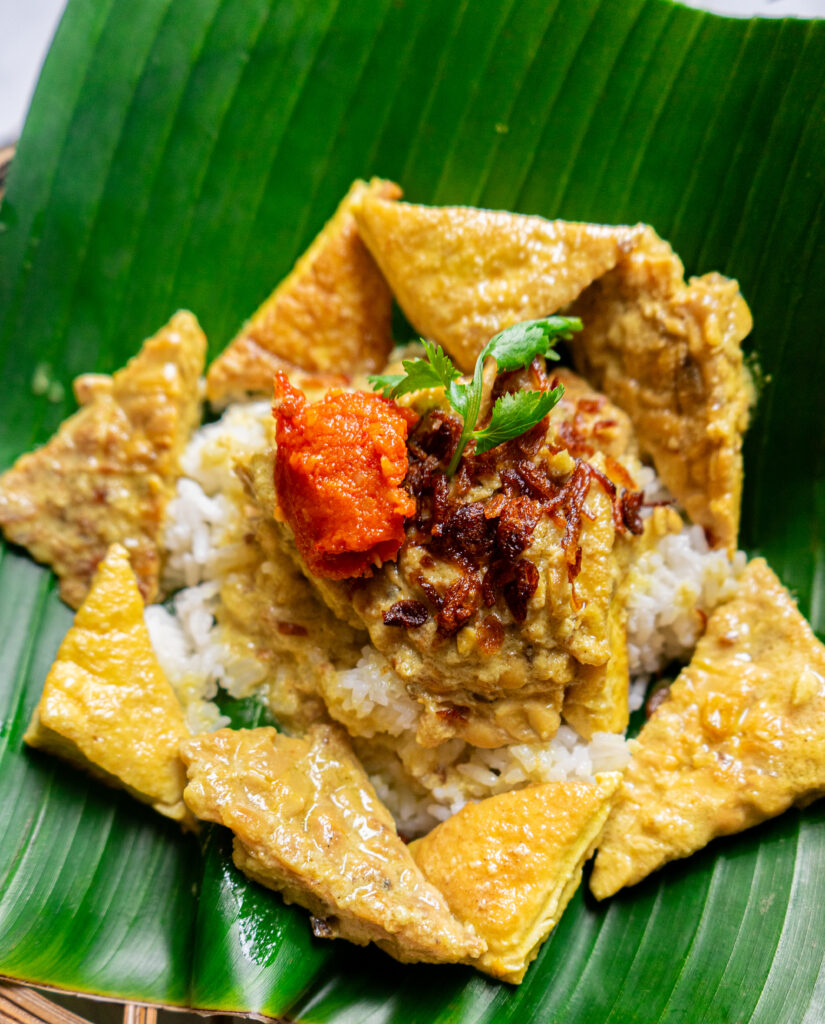 Terik Tahu Tempe (Tofu and Tempeh Stew in Coconut Milk)