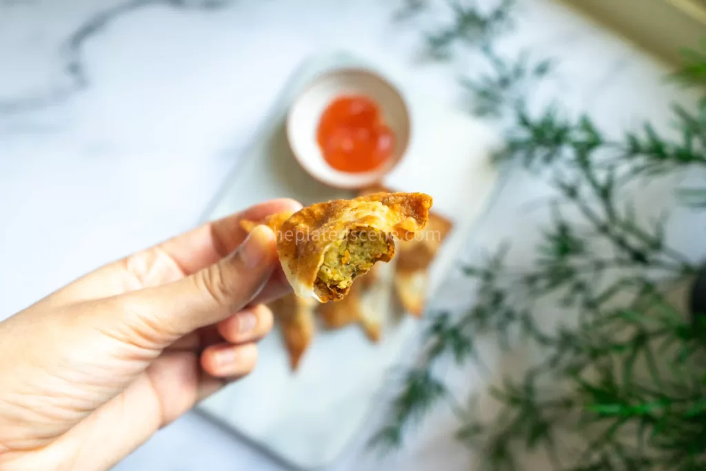 Fried Wonton 01