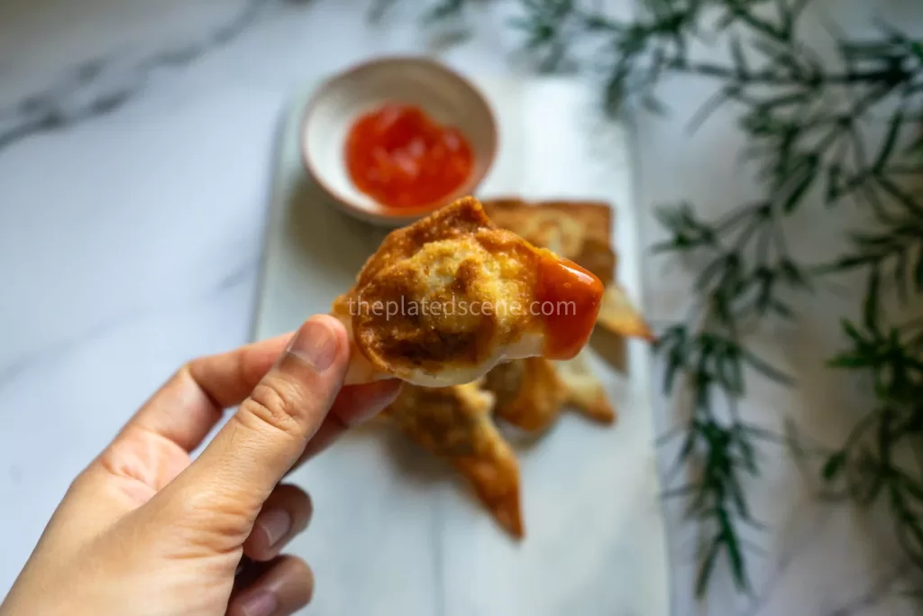 Fried Wonton 03