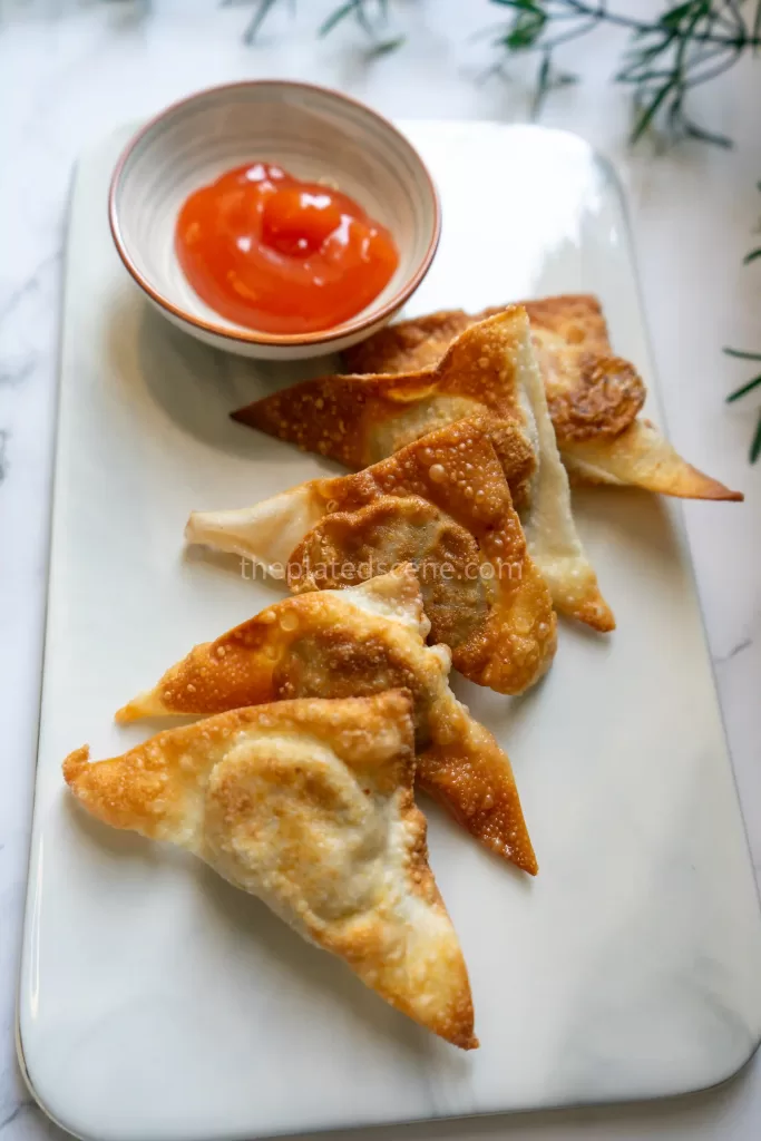 Fried Wonton 06