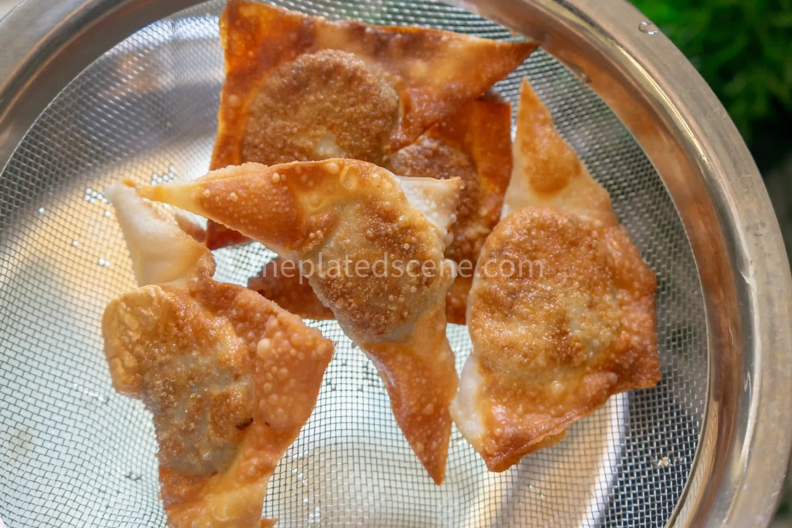 crispy wontons