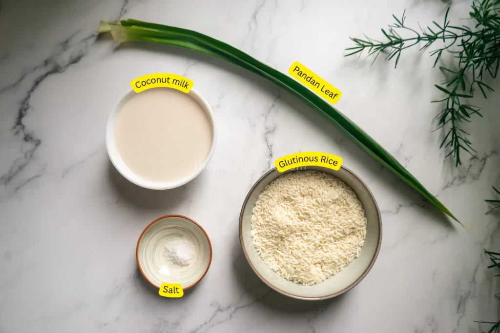 Wajik Ketan (Indonesian Caramelized Glutinous Rice Cake) 9 Wajik Ketan Step 02