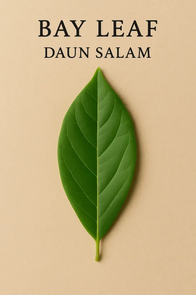 Daun Salam (Bay Leaf) - The Gentle Leaf That Brings Balance to Indonesian Dishes 3 daun salam bay leaf
