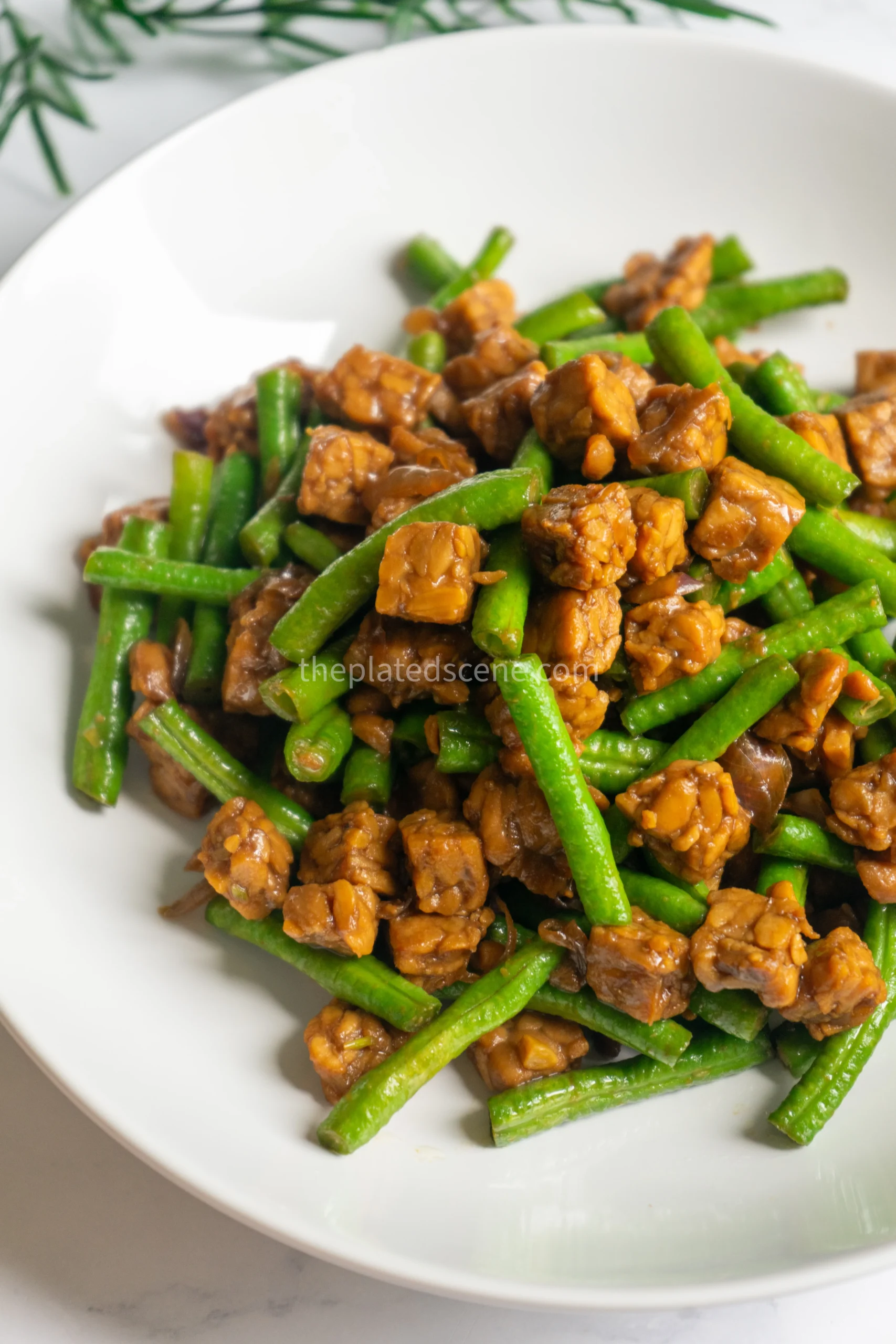 Tempe Orek Kacang Panjang: Easy Indonesian Stir-Fried Tempeh with Long Beans 4 Golden cubes of fried tempeh mixed with vibrant green long beans in a traditional Indonesian stir-fry